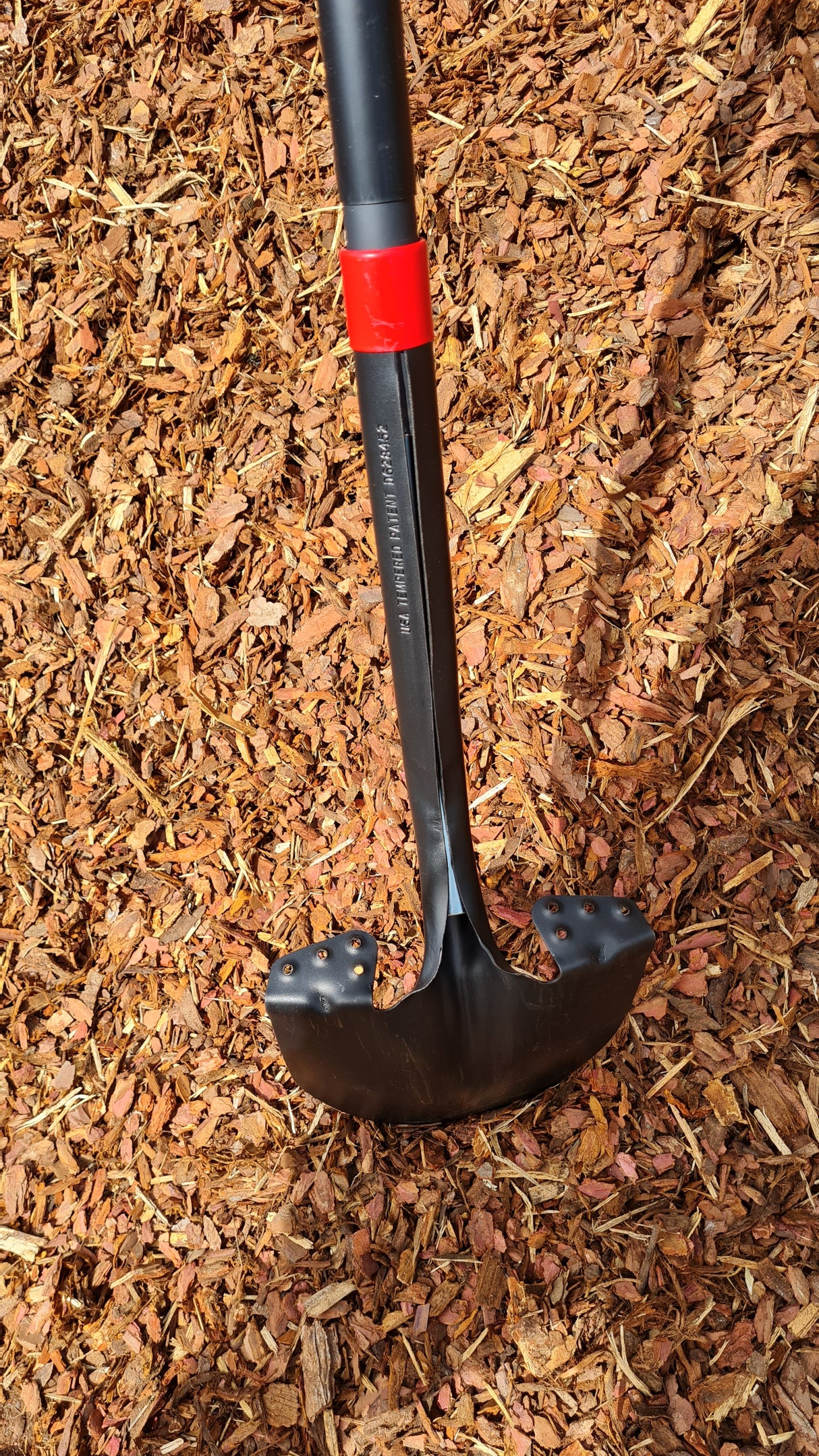 Razorback Amerikanische Spatenschaufel