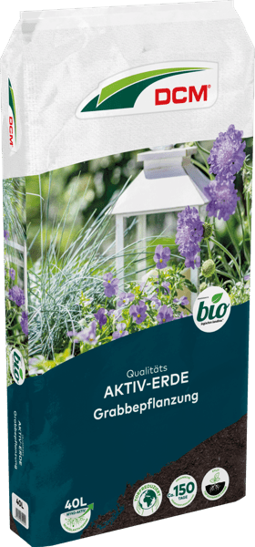 40l Cuxin DCM AKTIV-ERDE Grabbepflanzung