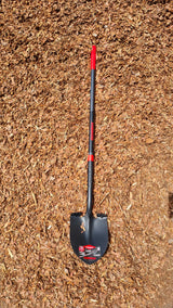 Razorback Amerikanische Spatenschaufel