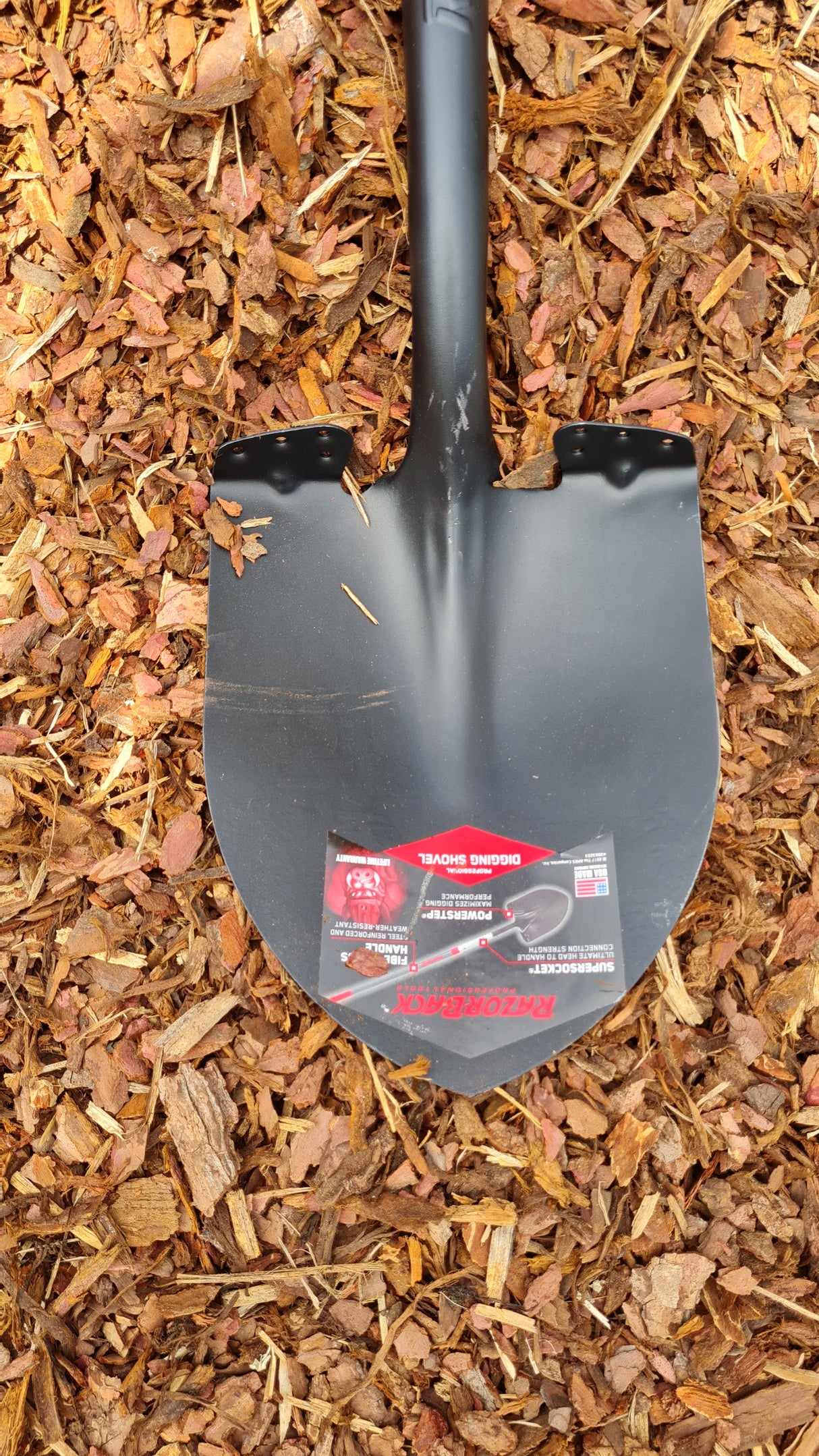 Razorback Amerikanische Spatenschaufel