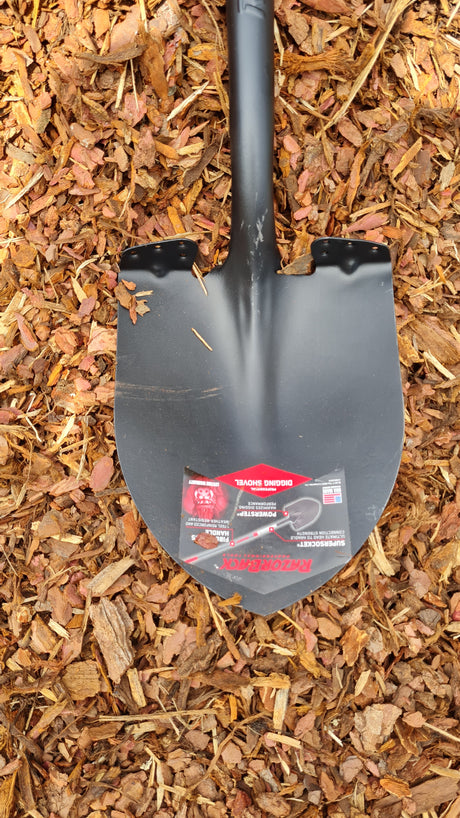 Razorback Amerikanische Spatenschaufel