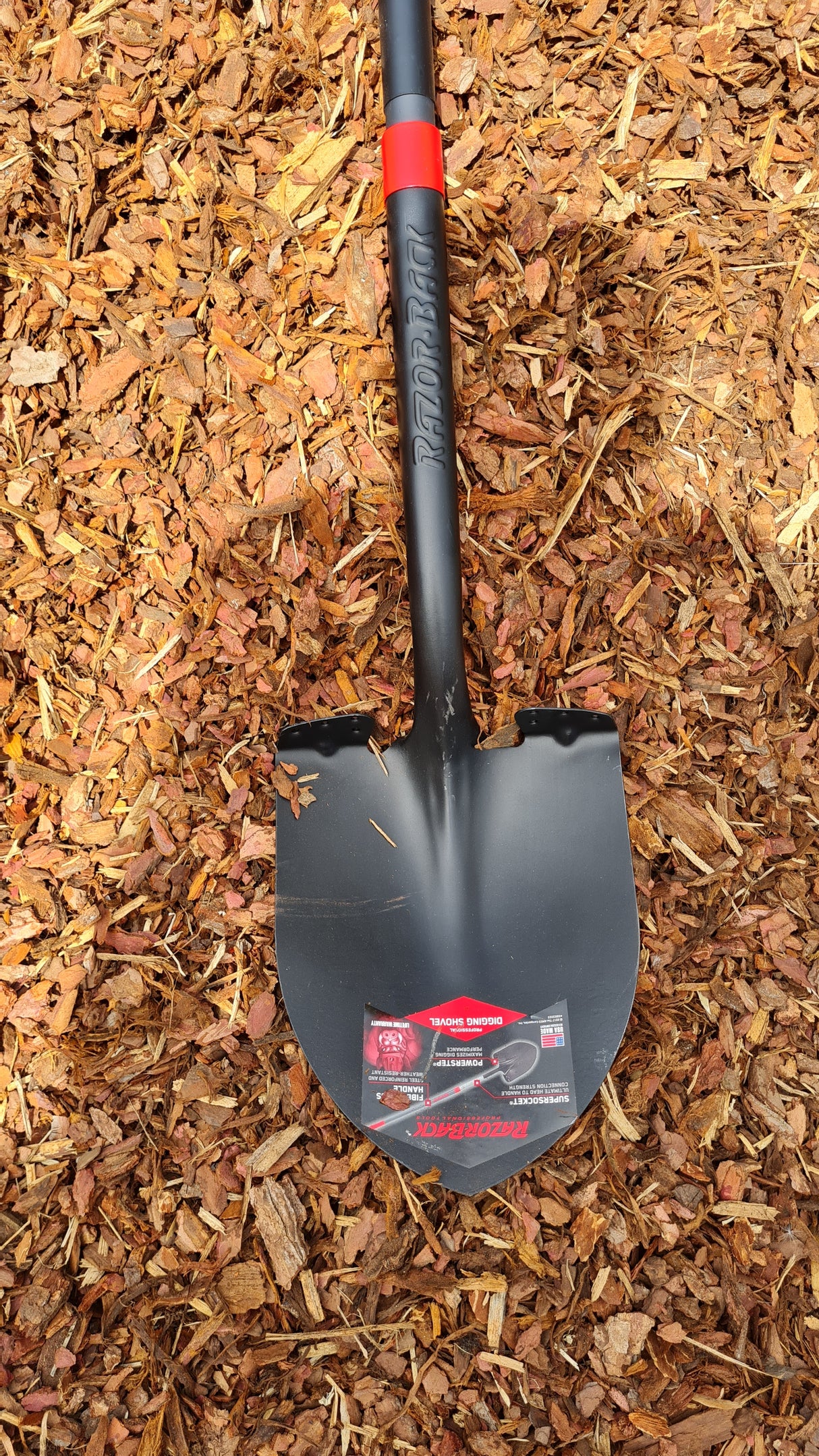 Razorback Amerikanische Spatenschaufel