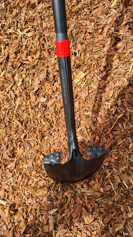 Razorback Amerikanische Spatenschaufel