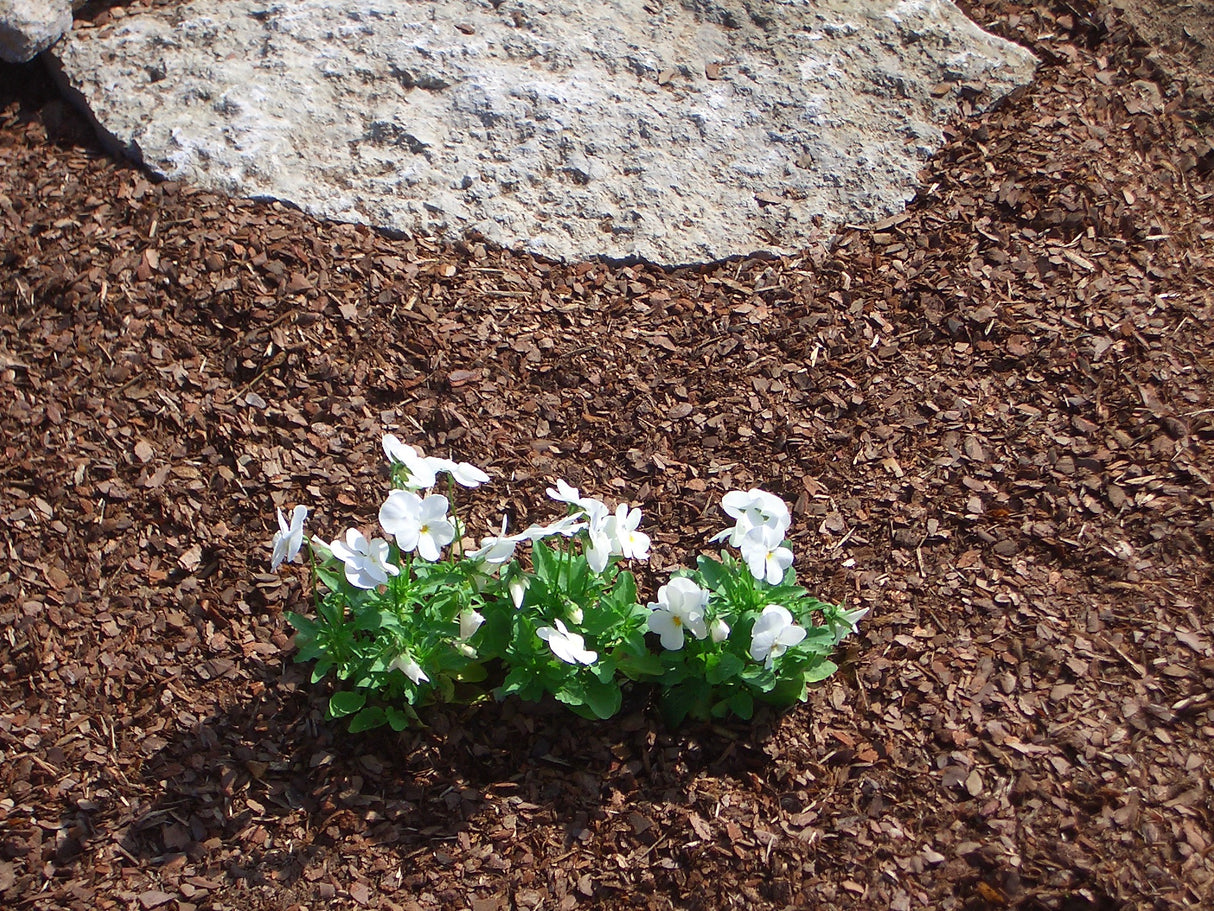 1m³ (1000l)  Rindenhumus 0/8mm im Big Bag versandkostenfrei geliefert