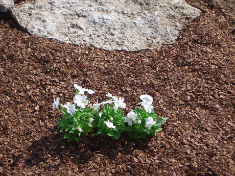 1m³ (1000l)  Rindenhumus 0/8mm im Big Bag versandkostenfrei geliefert