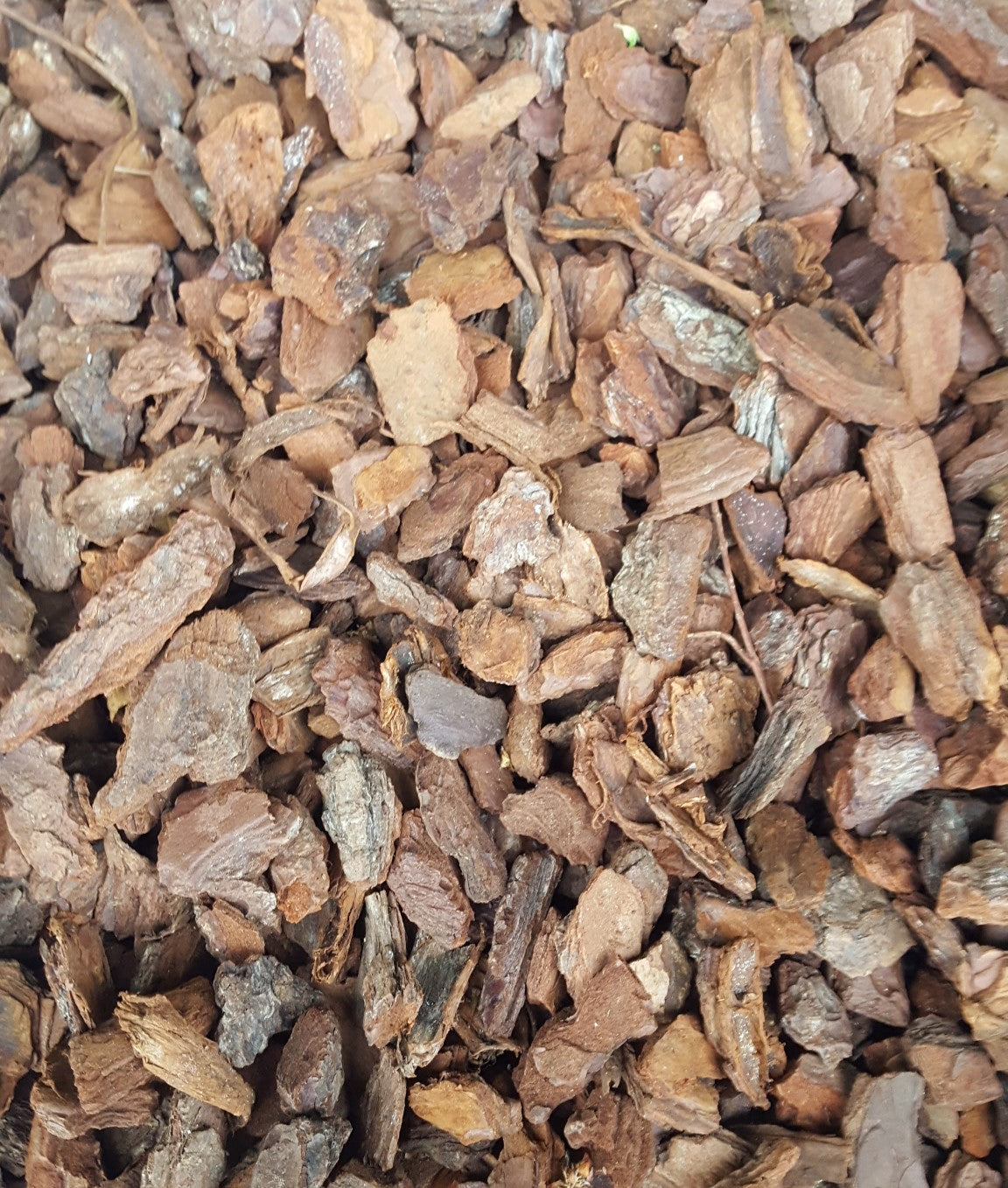 60 l Gramoflor Pinienrinde 15-25mm