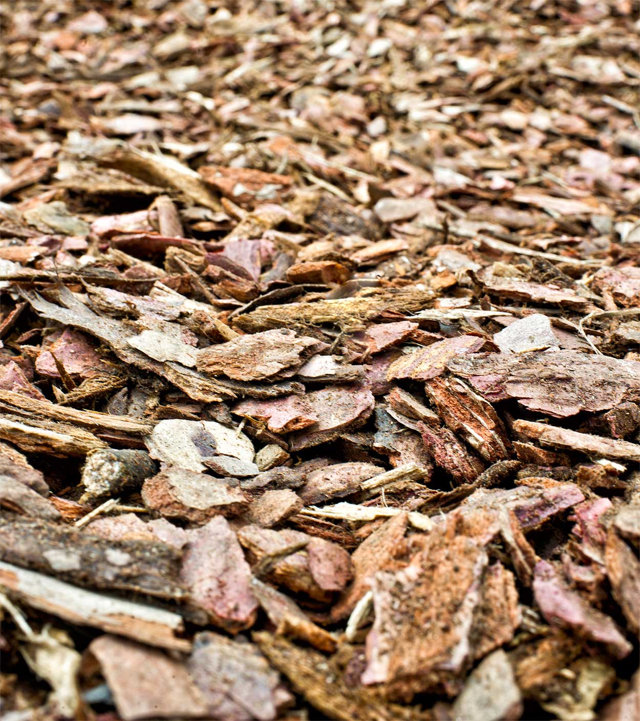 1 Palette (1200l) 15 X 80l Rindenmulch 10/40mm versandkostenfrei geliefert