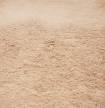 Gewaschener Sand 0/2mm, 1m³